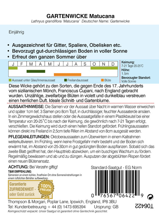 Gartenwicke Matucana