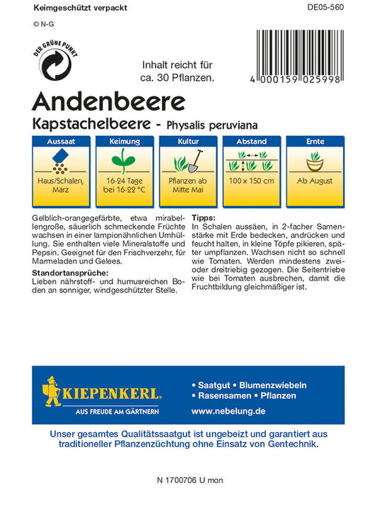 Andenbeere Kapstachelbeere