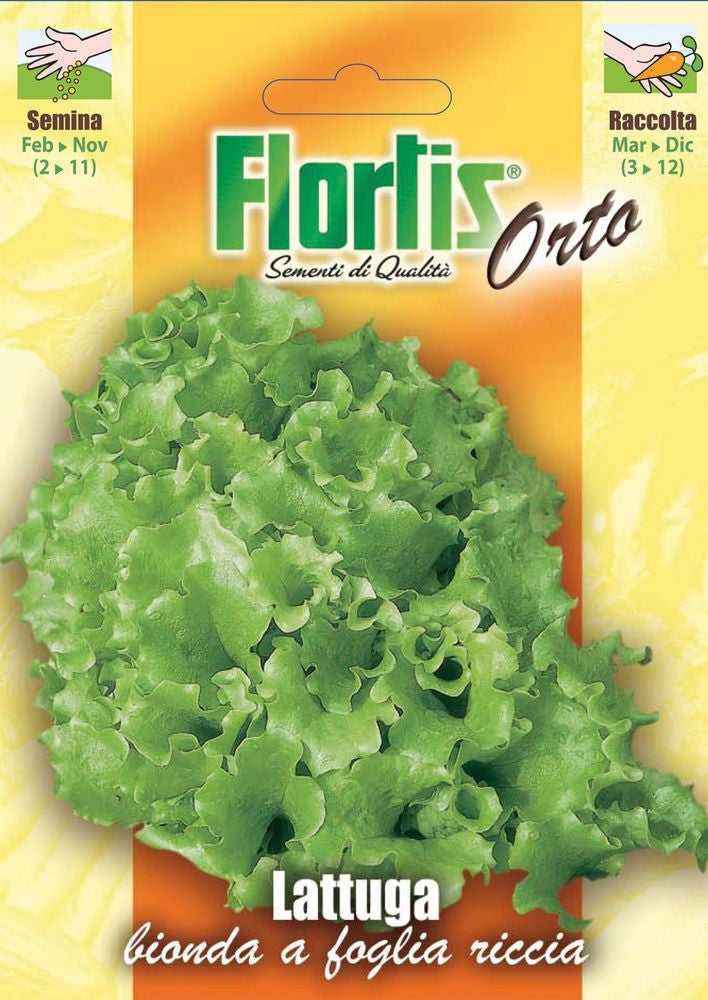 Krausgelber Schnittsalat Bionda A Foglia Riccia