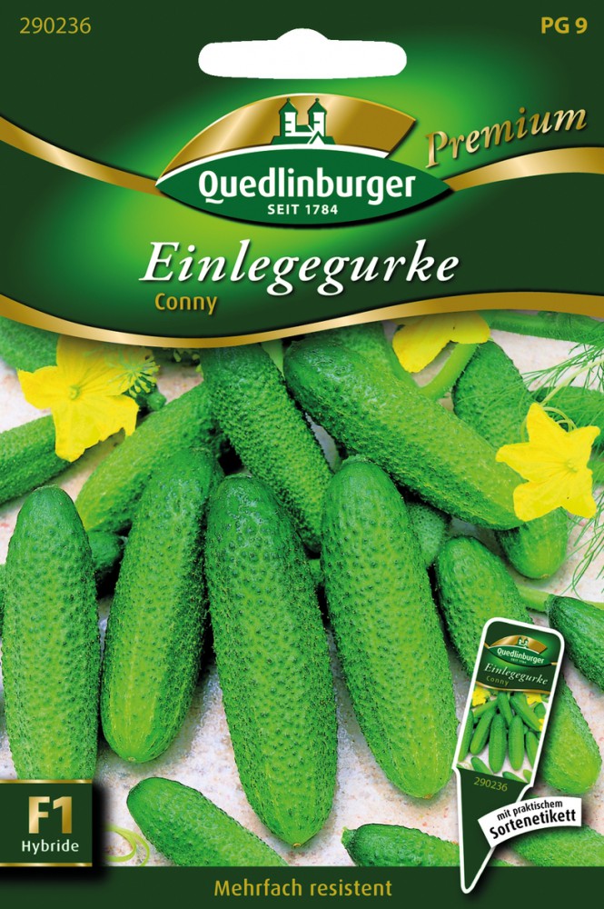 Einlegegurke Conny