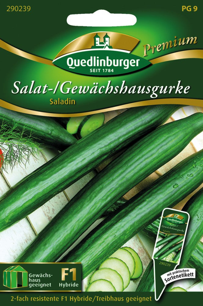 Gewächshausgurken Saladin F1