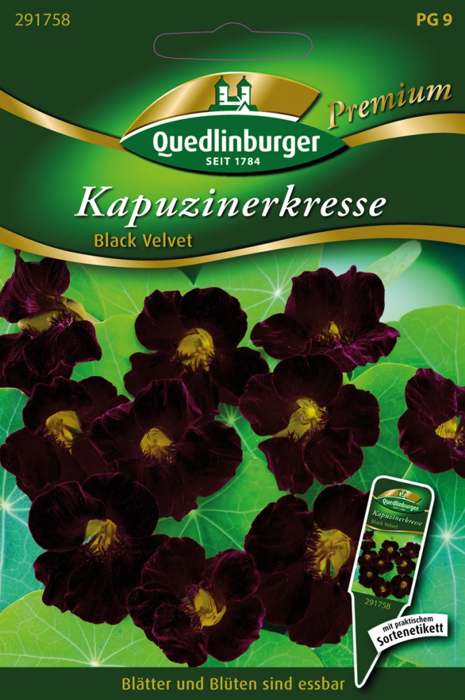 Kapuzinerkresse Black Velvet