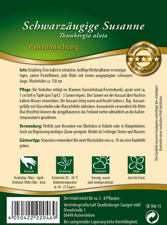 Schwarzäugige Susanne Pastellmischung