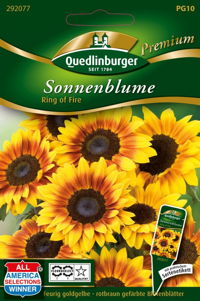 Sonnenblumen Ring Of Fire
