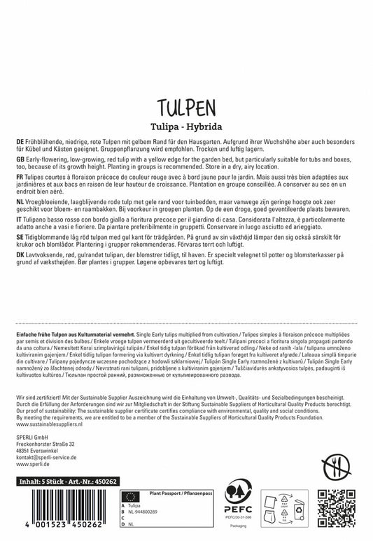 Einfache Frühe Tulpe Flair (5 Stück)