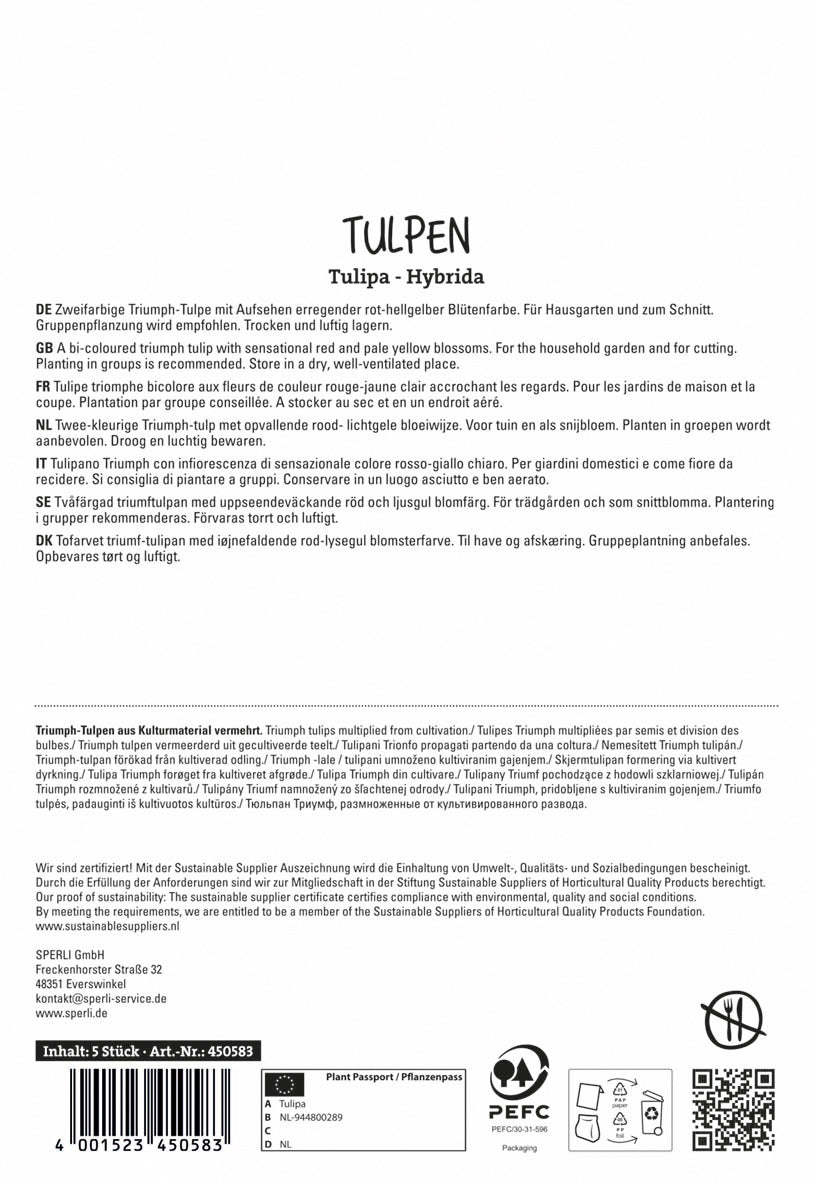 Triumph-Tulpe Match (5 Stück)