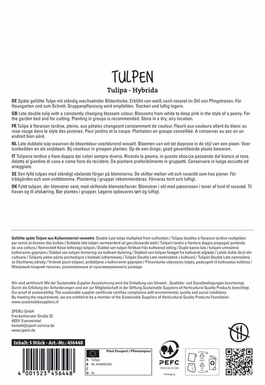 Tulpe Finola (5 Stück)