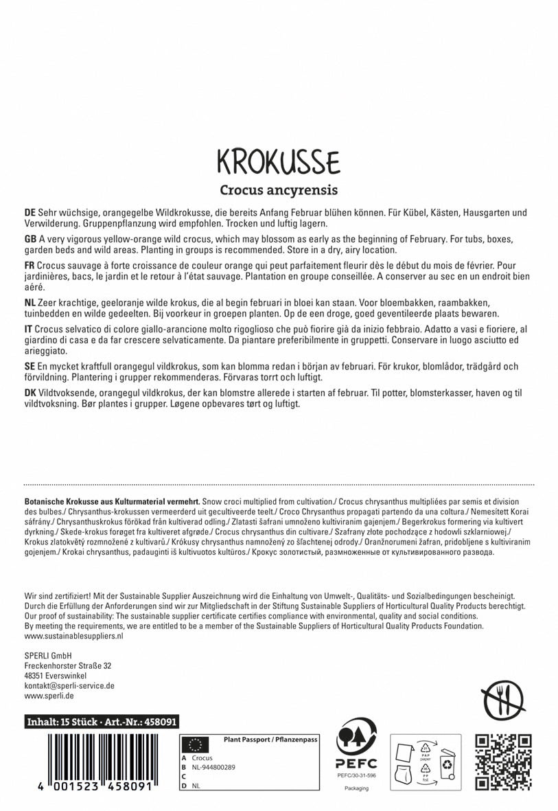 Krokus Golden Bunch (15 Stück)