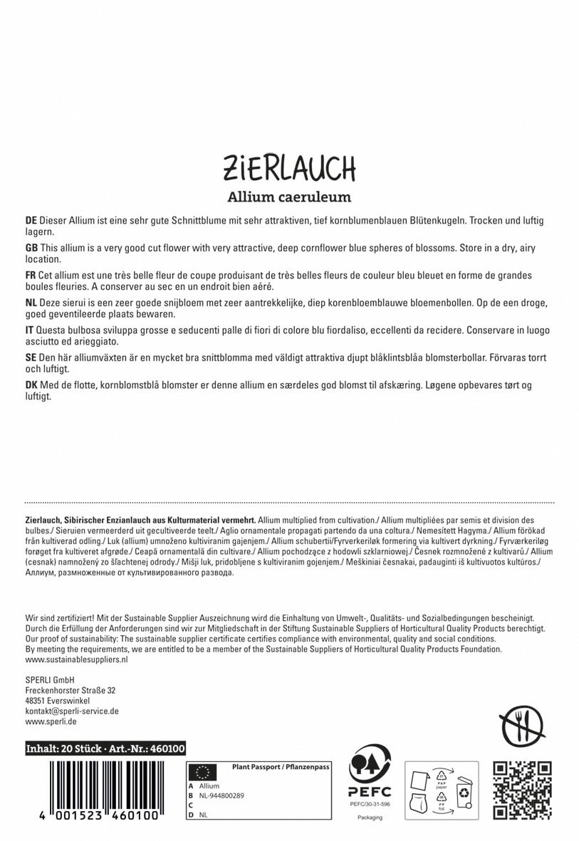 Zierlauch Blau (20 Stück)