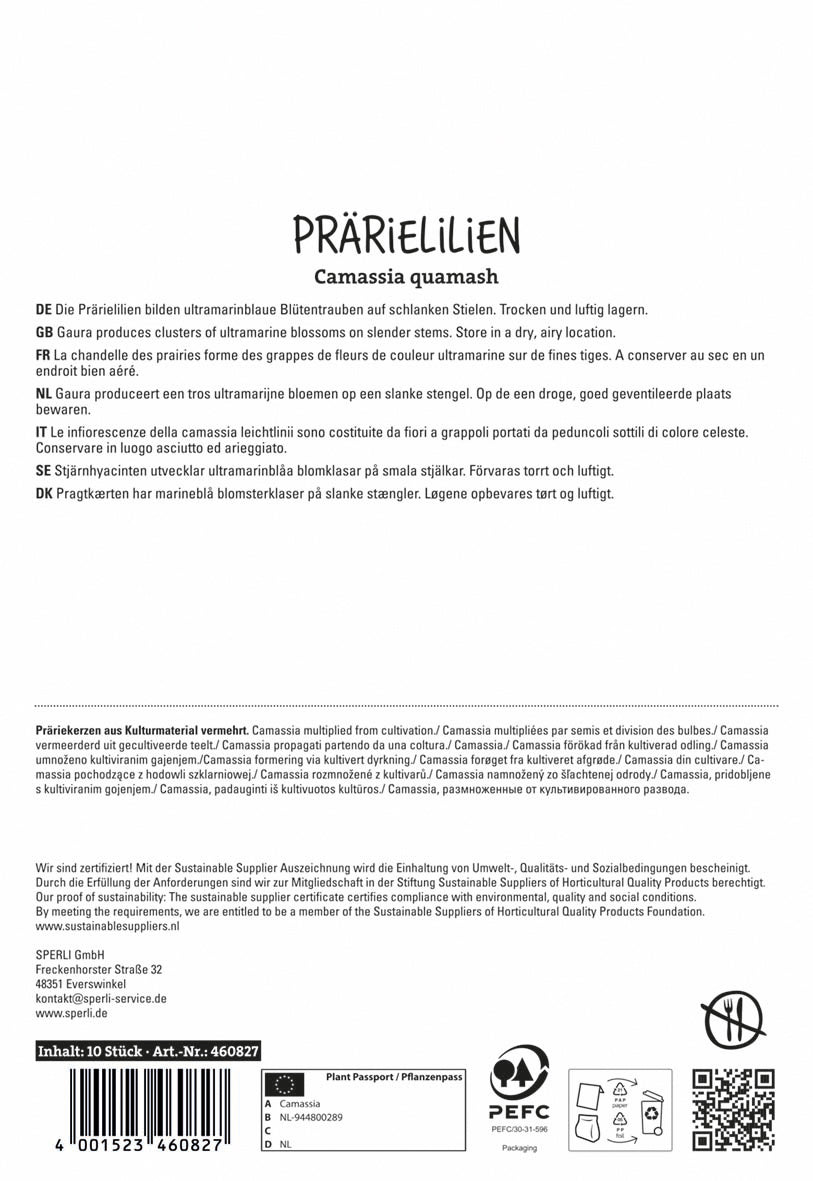 Prärielilie (10 Stück)