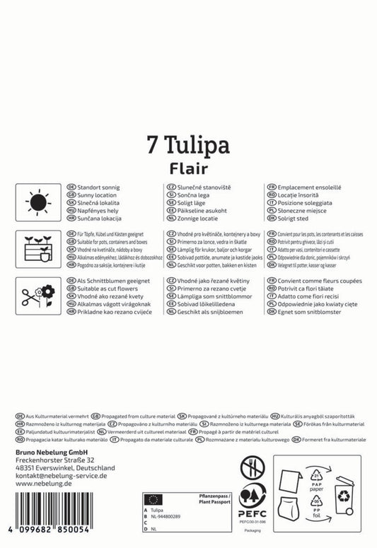 Einfache Frühe Tulpe Flair (7 Stück)