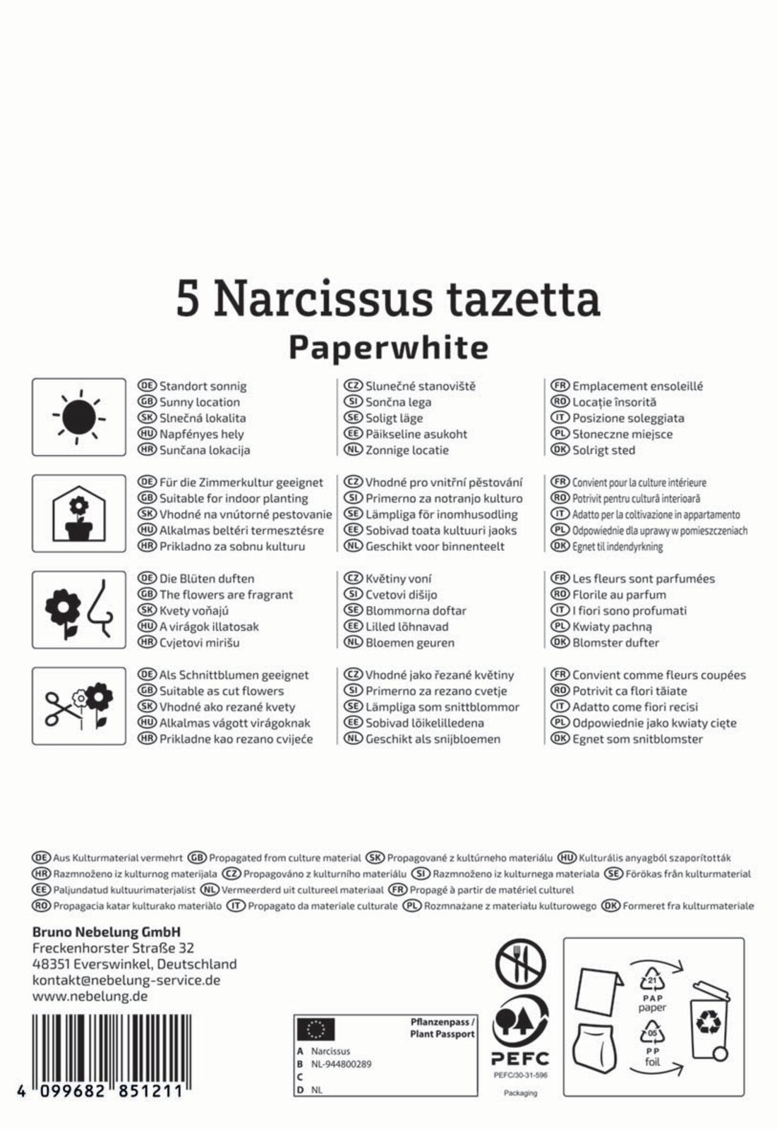 Zimmer-Narzisse Paperwhite (5 Stück)