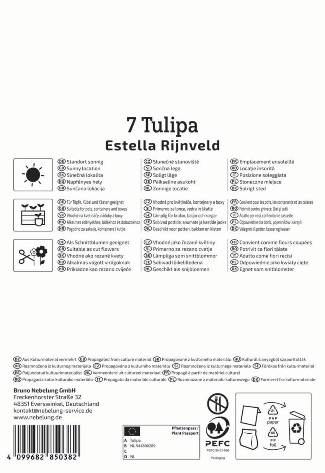 Papagei-Tulpe Estella Rijnveld (7 Stück)