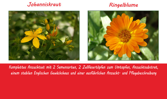 Anzuchtset Ich Nehme Mir Zeit Für Mich