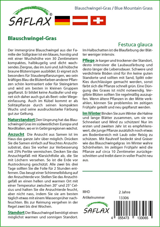 Blauschwingel Gras