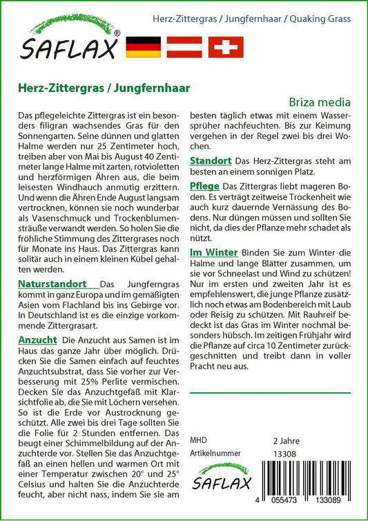 Herz-Zittergras / Jungfernhaar
