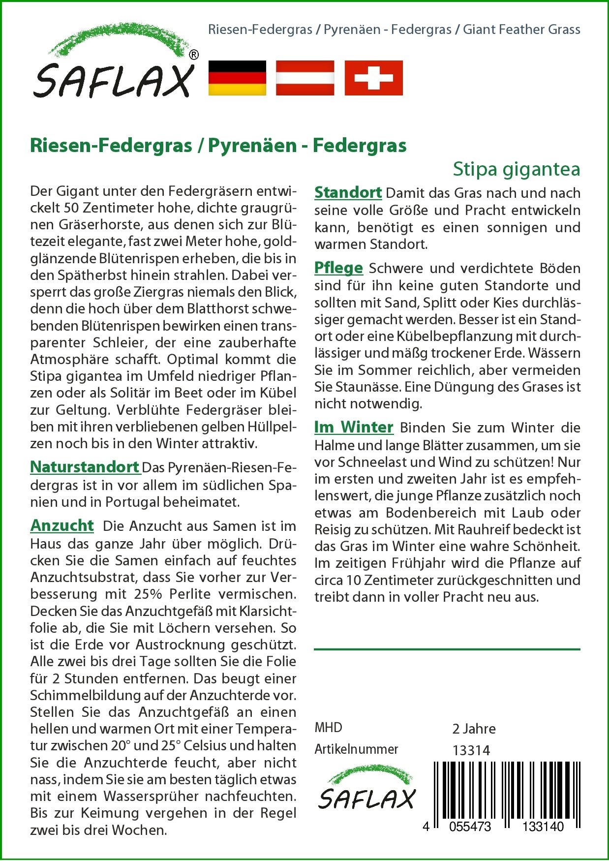 Riesen-Federgras (Pyrenäen-Federgras)