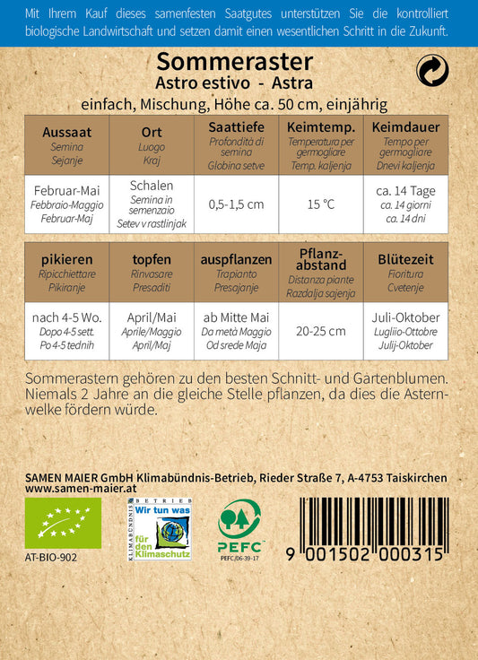 BIO Sommeraster Einfache Mischung