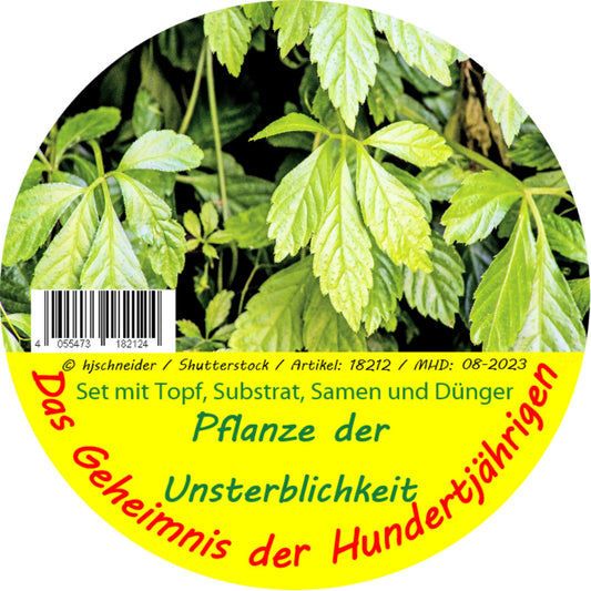 Pflanze Der Unsterblichkeit