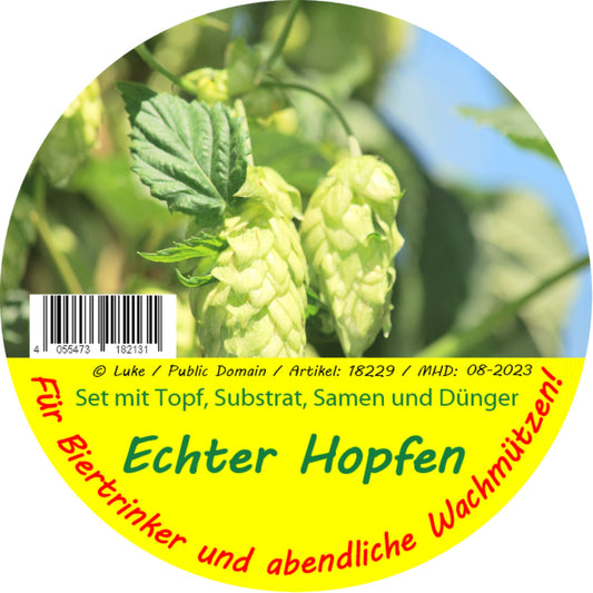 Echter Hopfen
