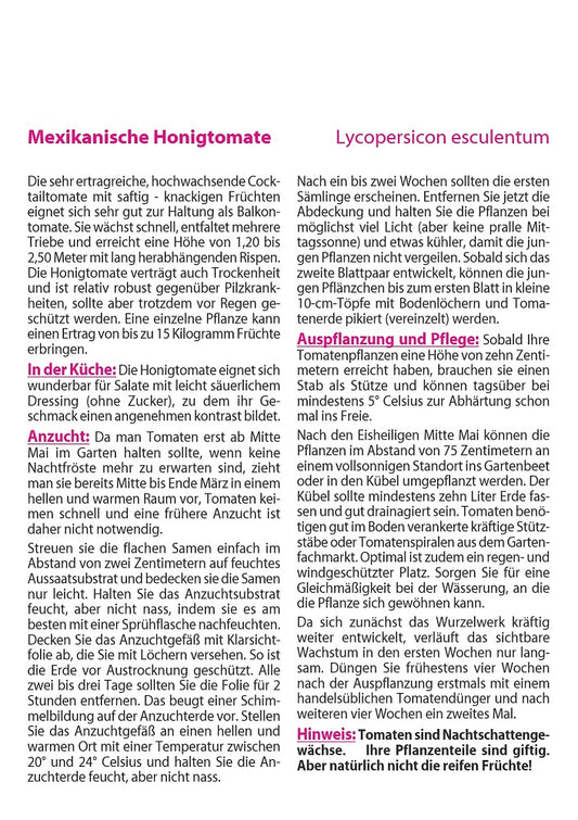 Mexikanische Honigtomate