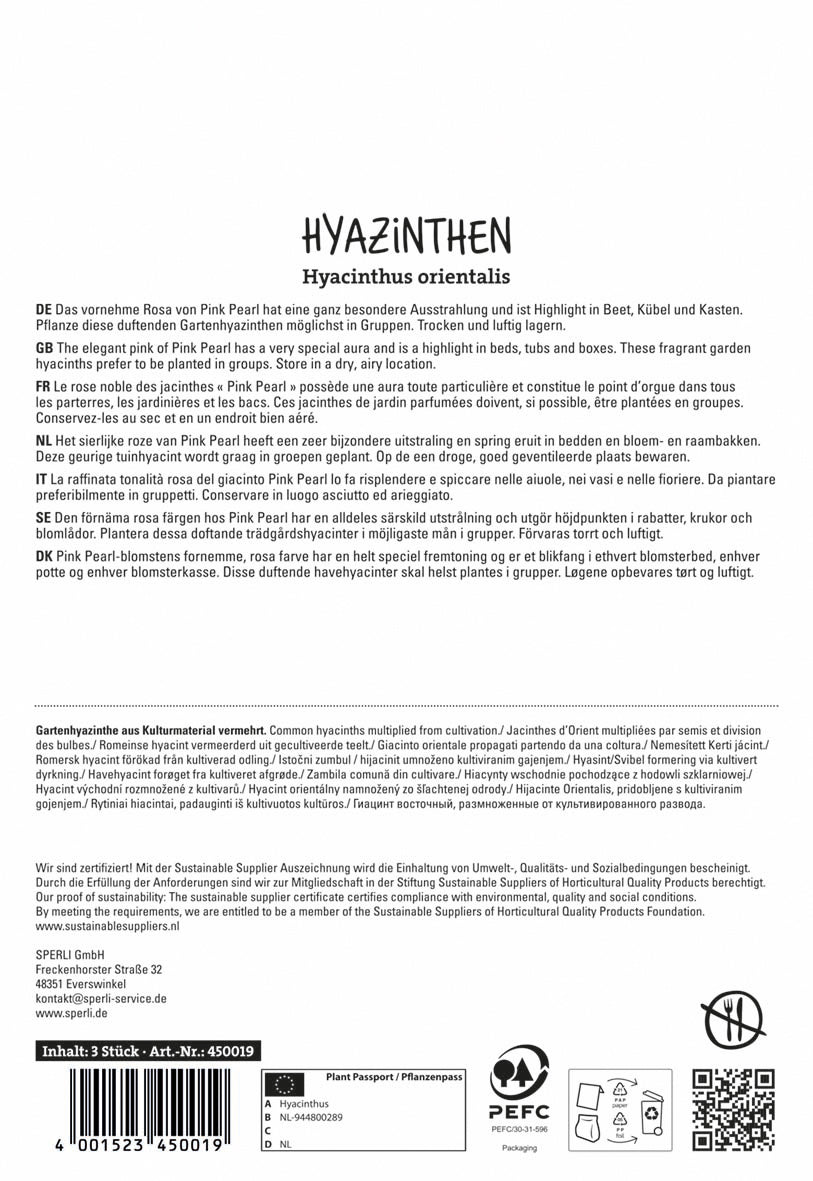 Hyazinthe Pink Pearl (3 Stück)