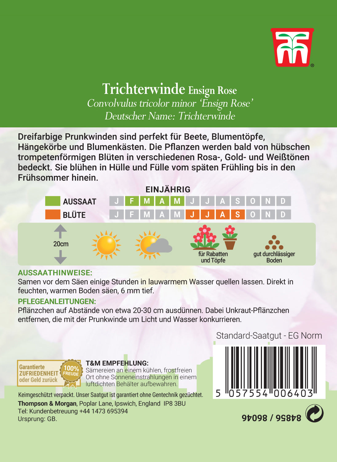 Trichterwinde Ensign Rose