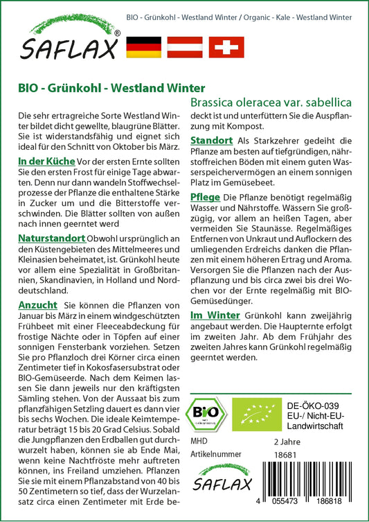 BIO Grünkohl Westland Winter