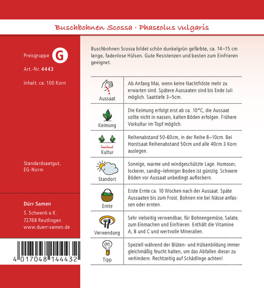 Buschbohne Scossa