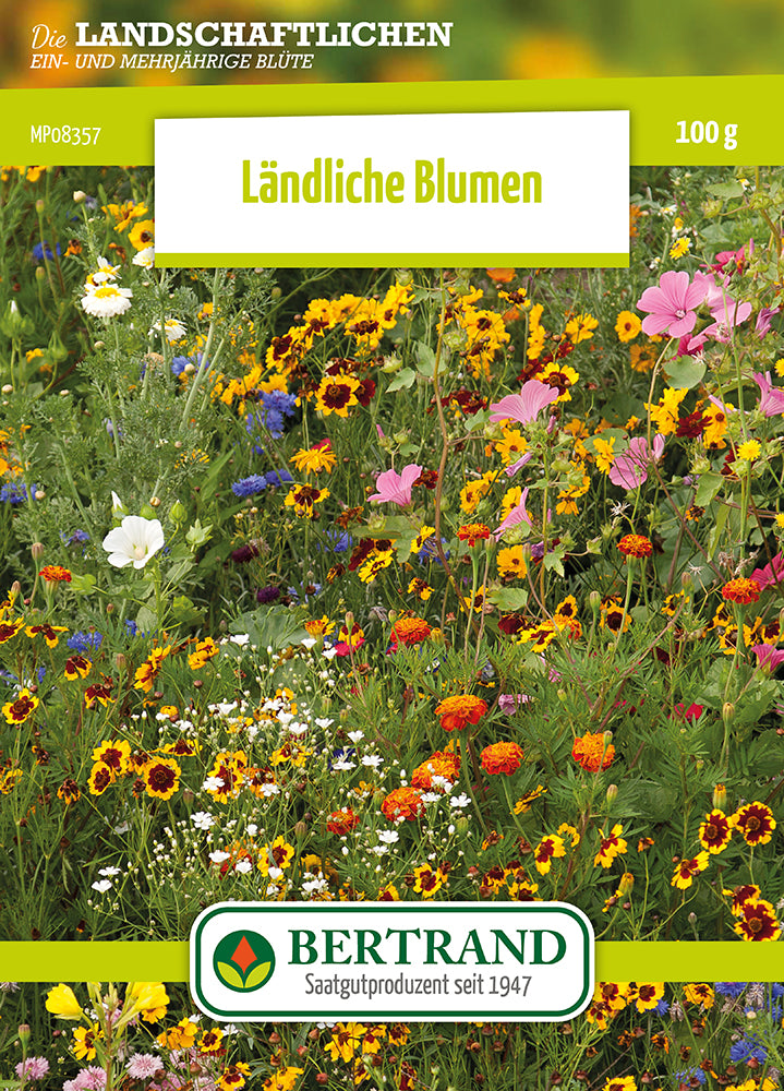 Blumenwiese Artenreiche Feldblumenmischung (100 G)