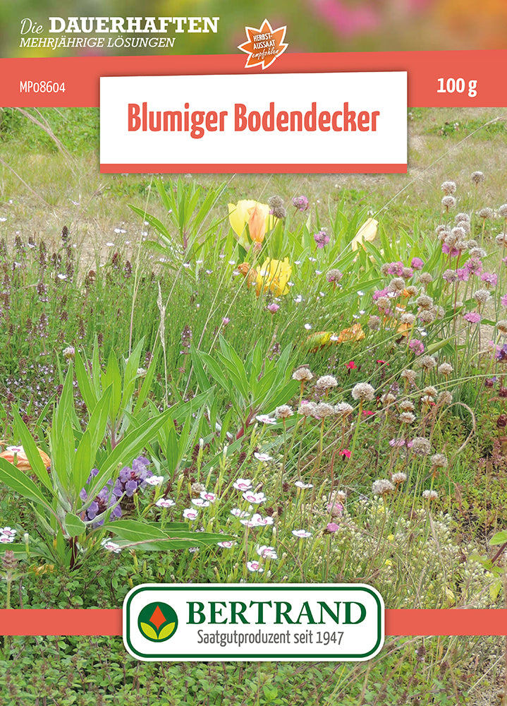 Blumenwiese Blumiger Bodendecker Für Gründächer (100 G)