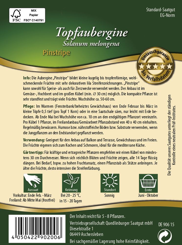 Topfaubergine Pinstripe F1