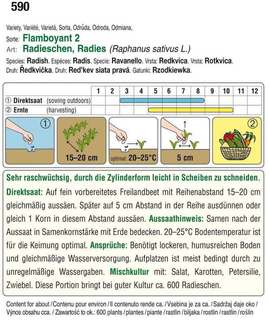 Radieschen Flamboyant 2