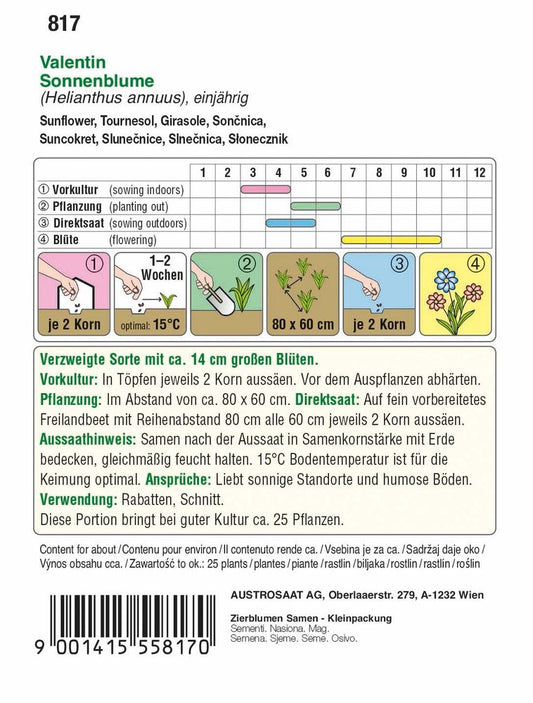 Sonnenblume Valentin