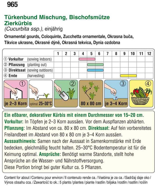 Zierkürbis Türkenbund Mischung