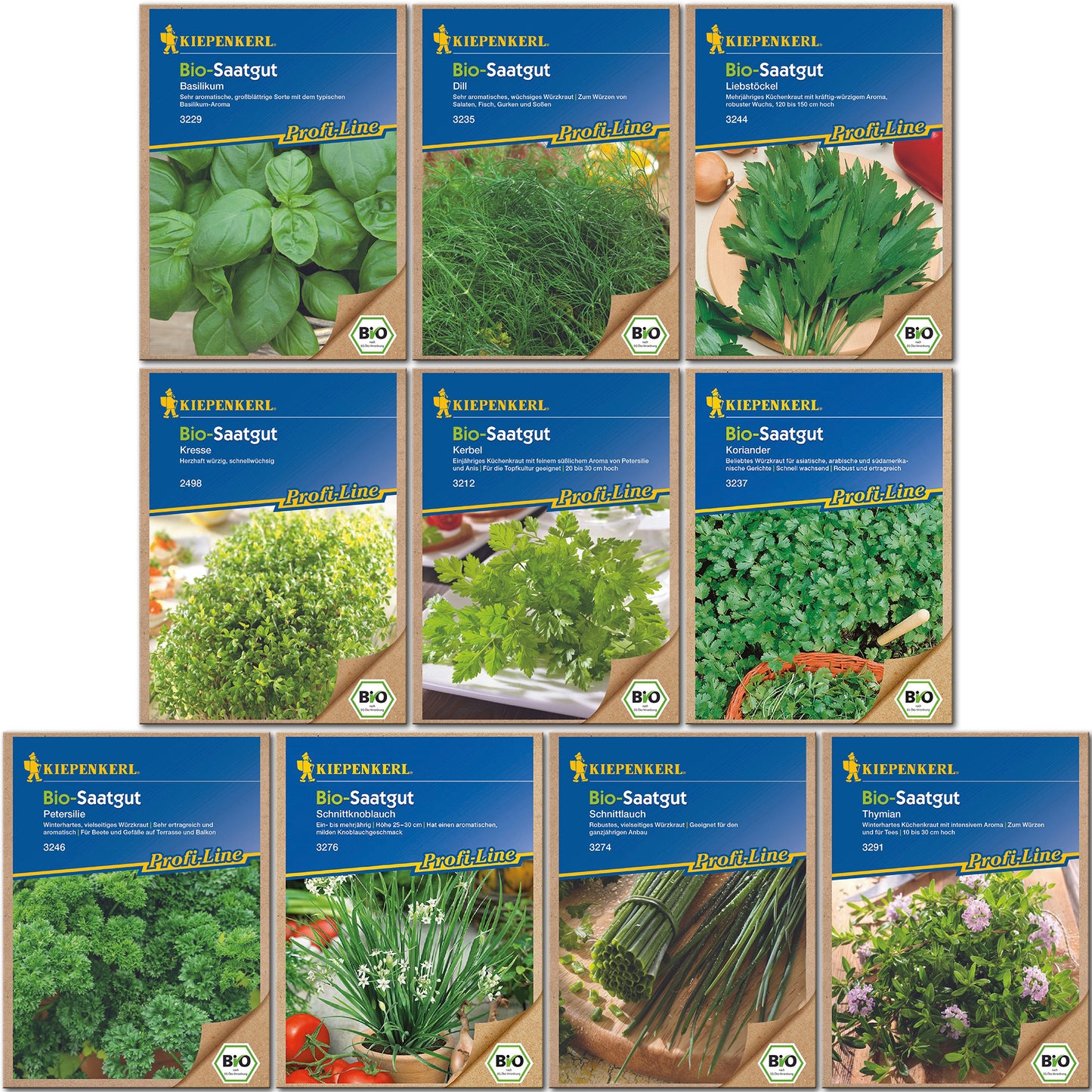 BIO Kräuter - Set 10 Sorten