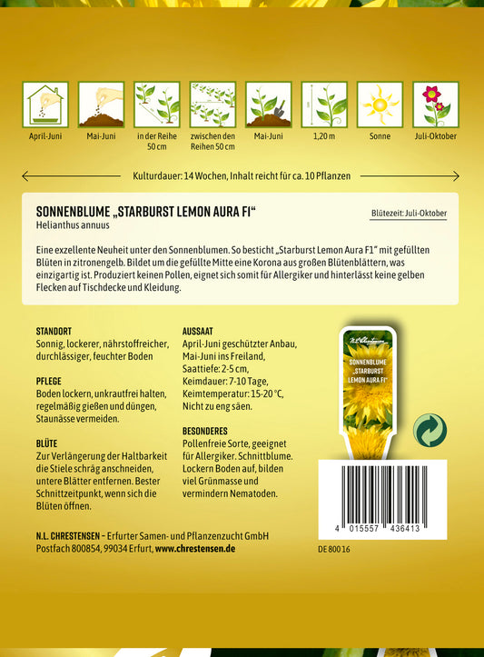 Sonnenblume Starburst Lemon Aura F1