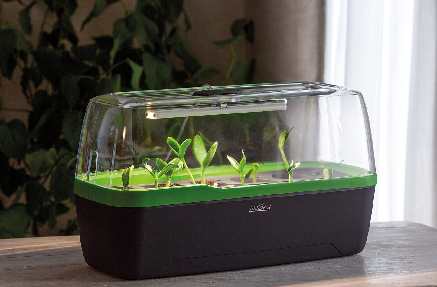 BoQube Gewächshaus & Pflanzkasten L Plus LED Anthrazit-grün