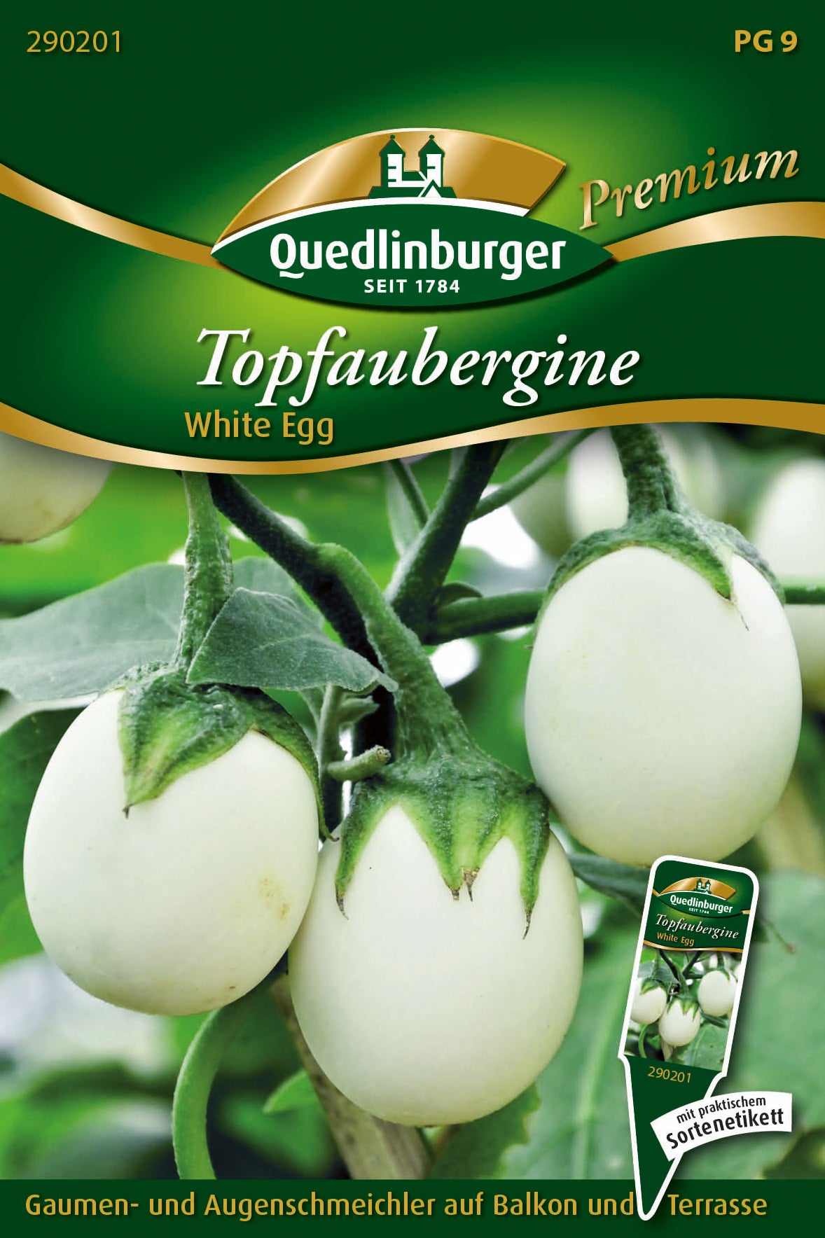 Aubergine White Egg