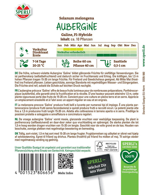 Aubergine Galine F1