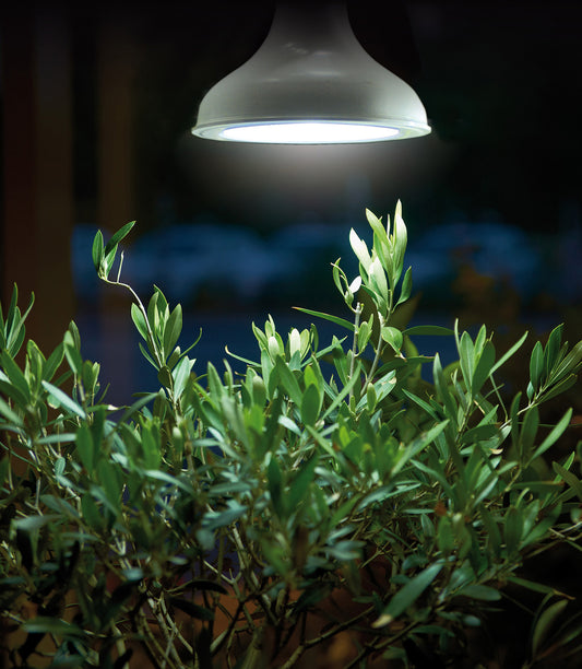 LED-Pflanzeneuchte 18W E27