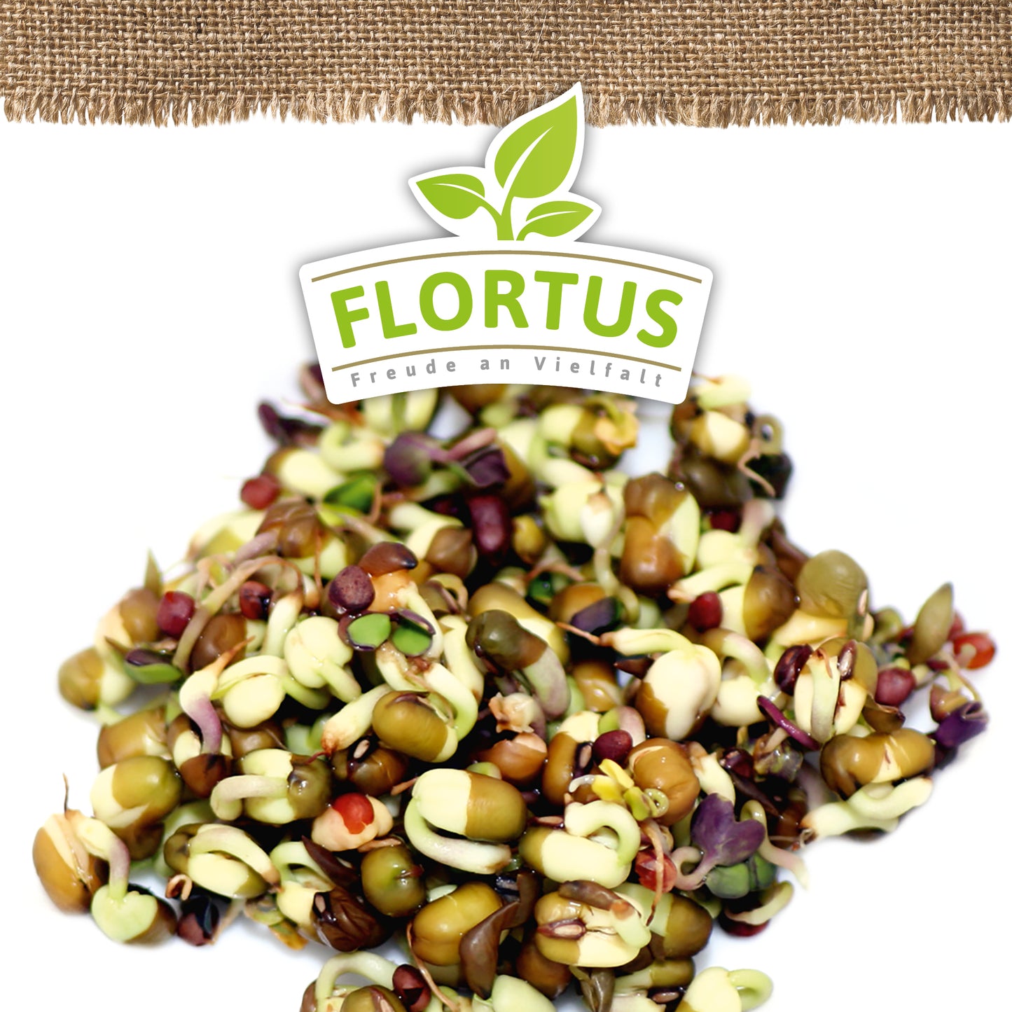 BIO Keimsprossen Pikant-Aromatisch (Mungbohnen Und Rettich)