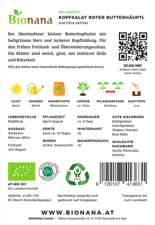 BIO Kopfsalat Roter Butterhäuptel