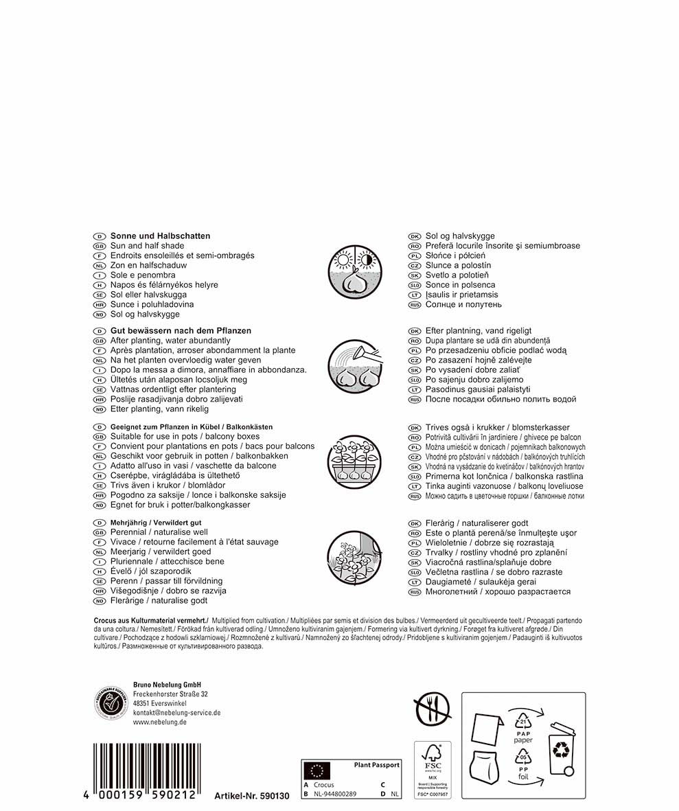 Pegasus Botanische Krokus Mischung (50 Stück)