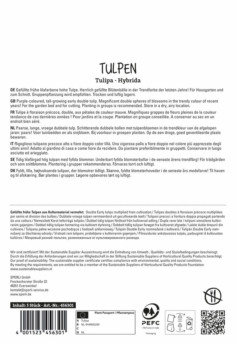 Tulpe Margarita (5 Stück)
