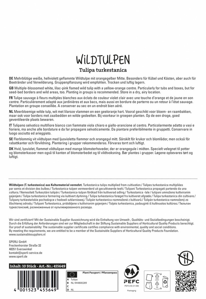 Wildtulpe Turkestanica (10 Stück)