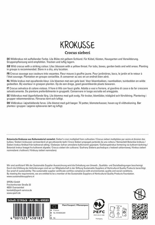 Wildkrokus Firefly (12 Stück)