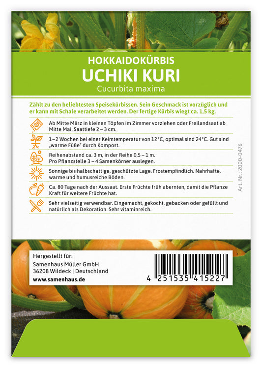 Hokkaidokürbis Uchiki Kuri