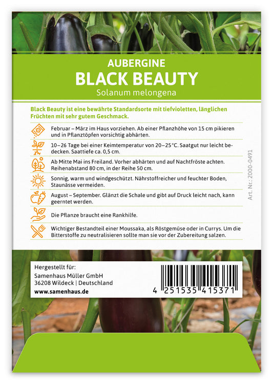 Aubergine Black Beauty