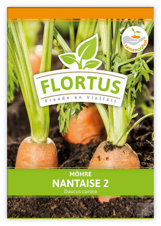Möhre Nantaise 2 (100 Stück)